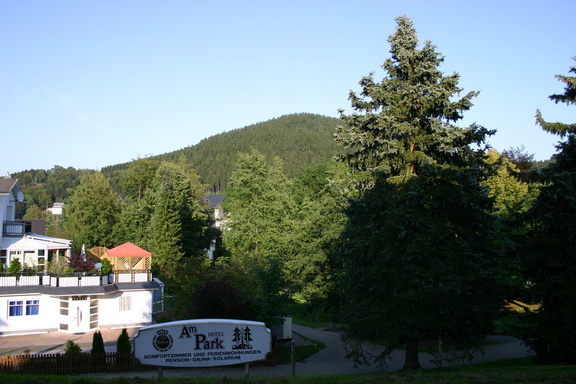 2006 Willingen 119 web