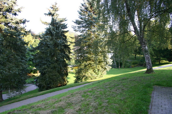 2006 Willingen 120 web