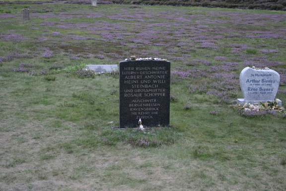 2006 Willingen 156 web